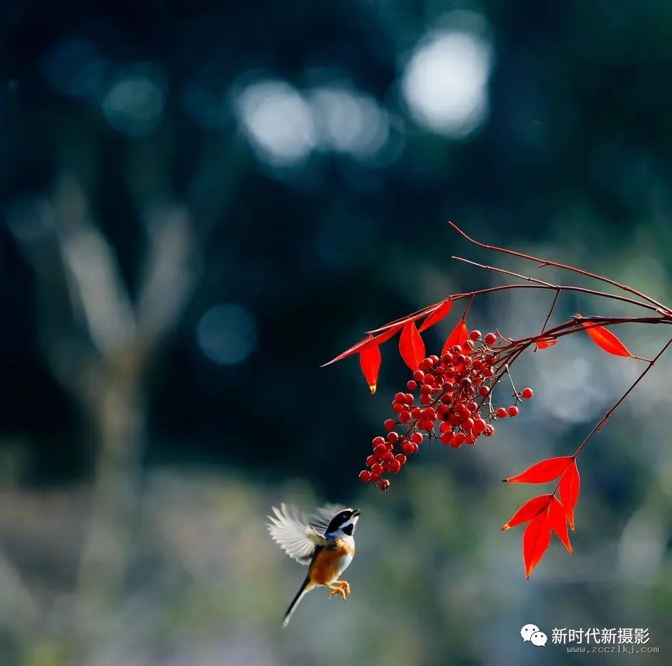 拼贴